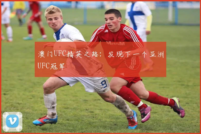 澳门UFC精英之路：发现下一个亚洲UFC冠军