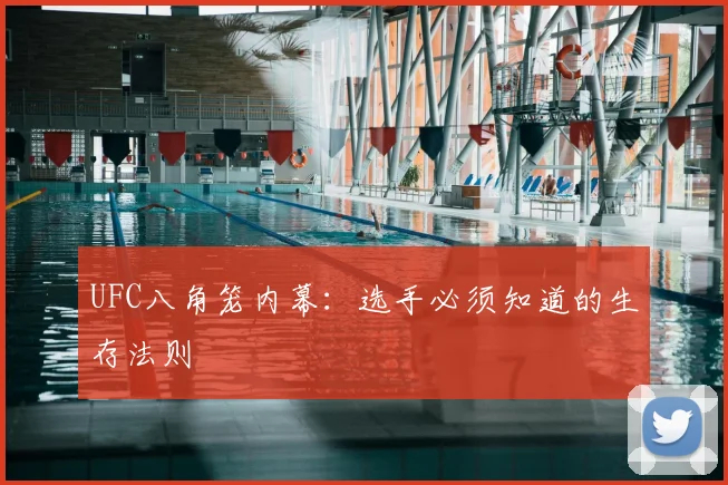 UFC八角笼内幕：选手必须知道的生存法则