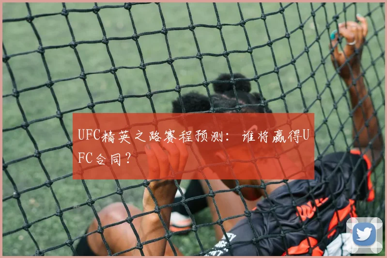UFC精英之路赛程预测：谁将赢得UFC合同？