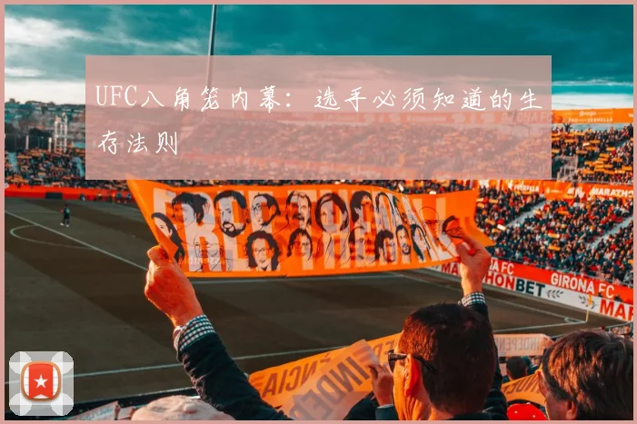 UFC八角笼内幕:选手必须知道的生存法则