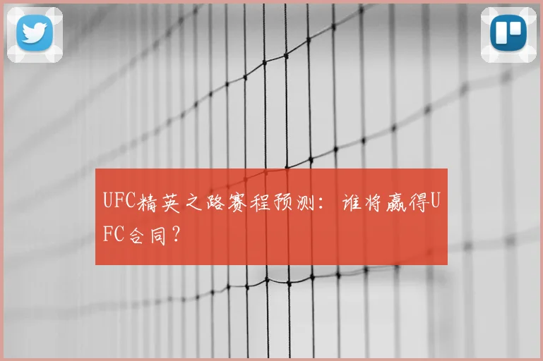 UFC精英之路赛程预测:谁将赢得UFC合同?
