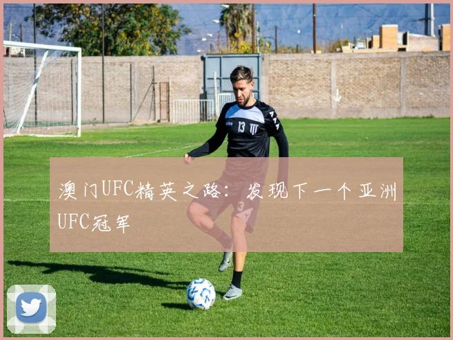 澳门UFC精英之路：发现下一个亚洲UFC冠军